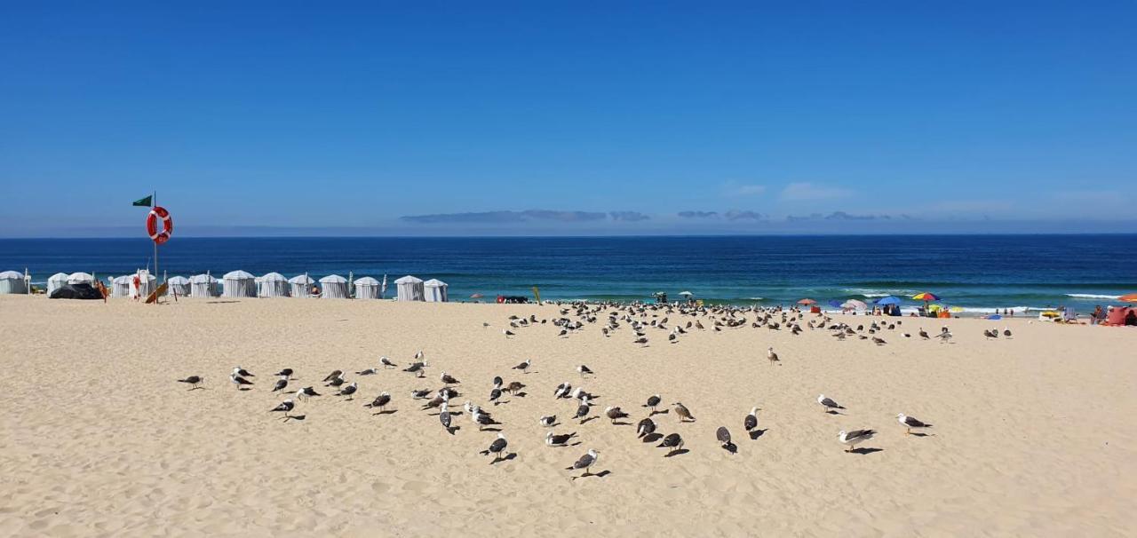 Big Fish 1 - Charming Beach Apartment Praia de Mira Bagian luar foto