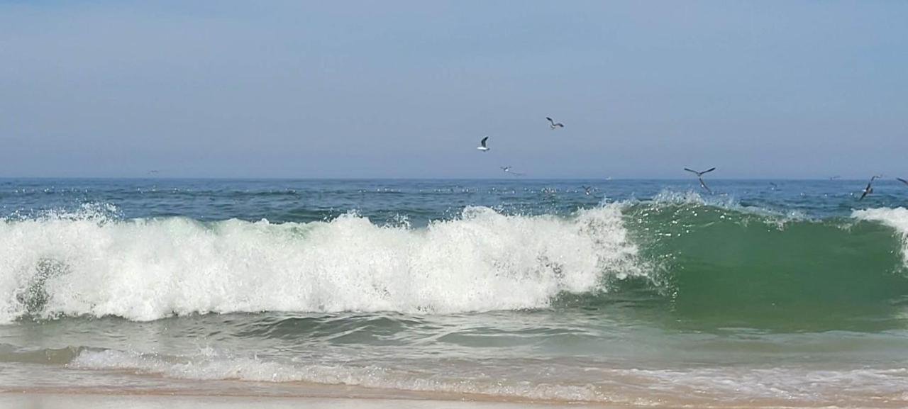Big Fish 1 - Charming Beach Apartment Praia de Mira Bagian luar foto