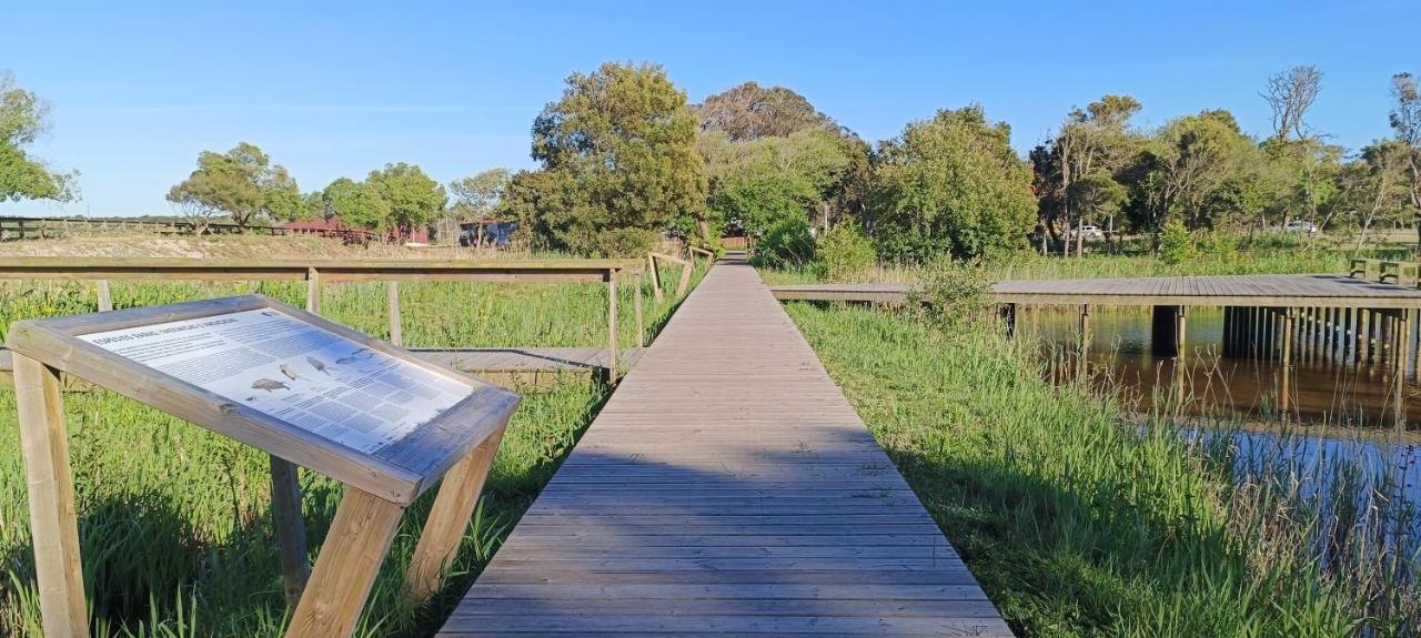 Big Fish 1 - Charming Beach Apartment Praia de Mira Bagian luar foto