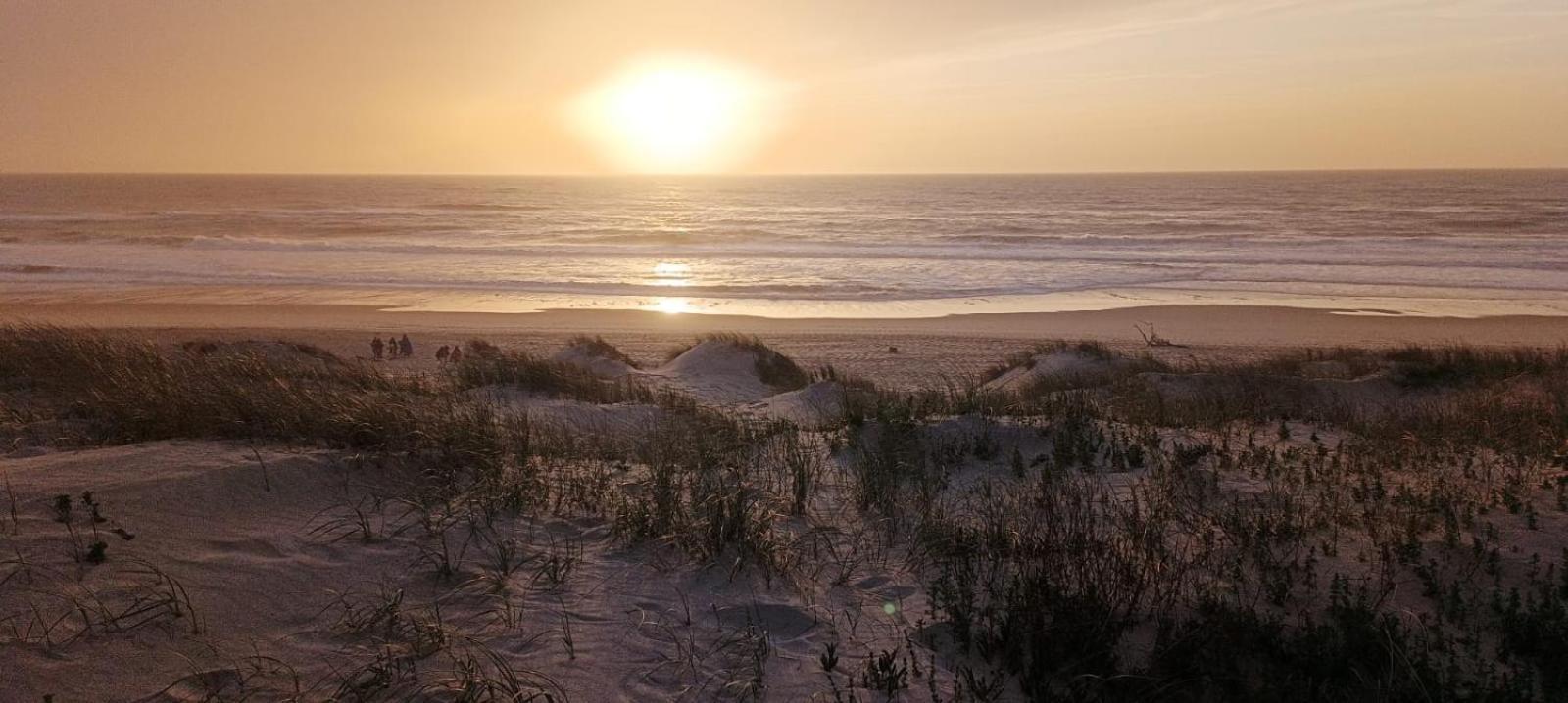 Big Fish 1 - Charming Beach Apartment Praia de Mira Bagian luar foto